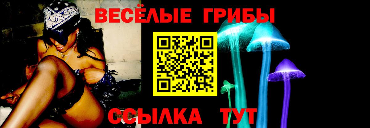 Галлюциногенные грибы Magic Shrooms  Вход с VPN  Рязань 
